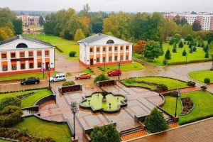 Упал дрон