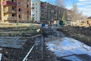 Донецкая область