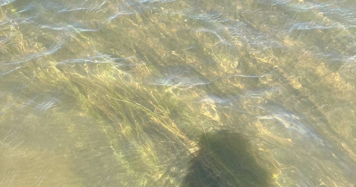 Вода