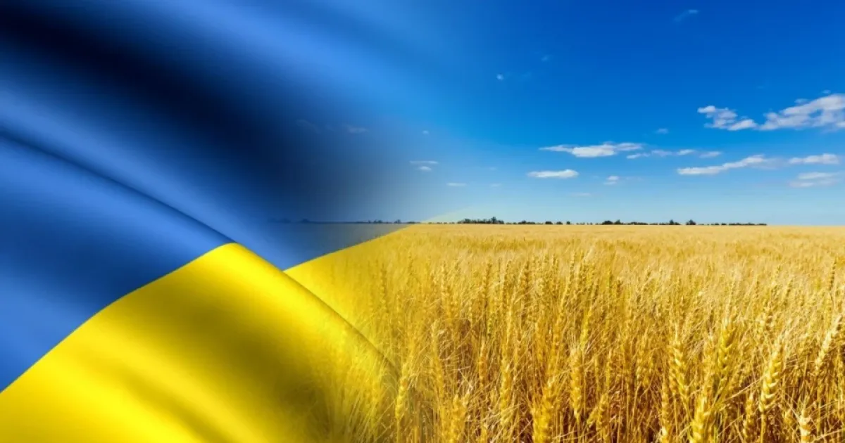 Флаг Украины