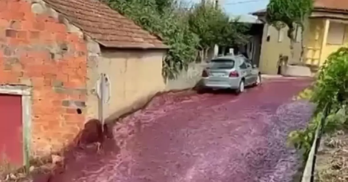 Вино на улице