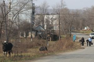 поселок городского типа