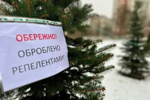 Ялинки