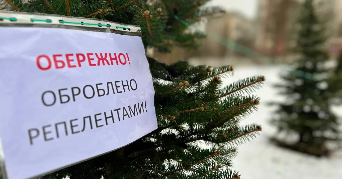 Ялинки