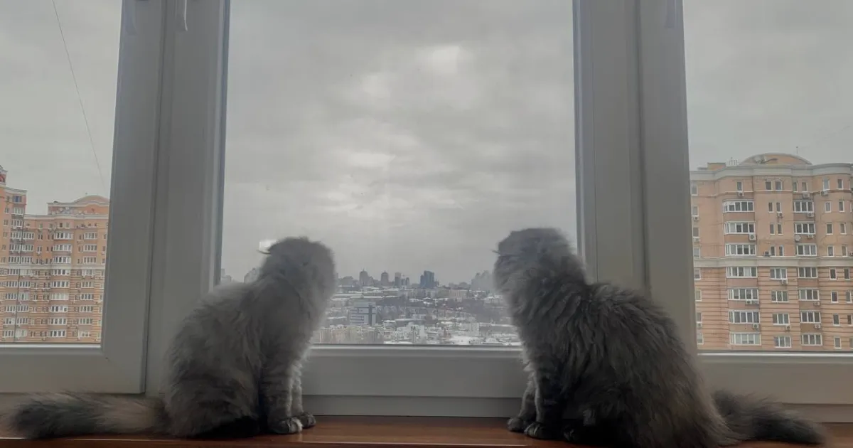 Погода