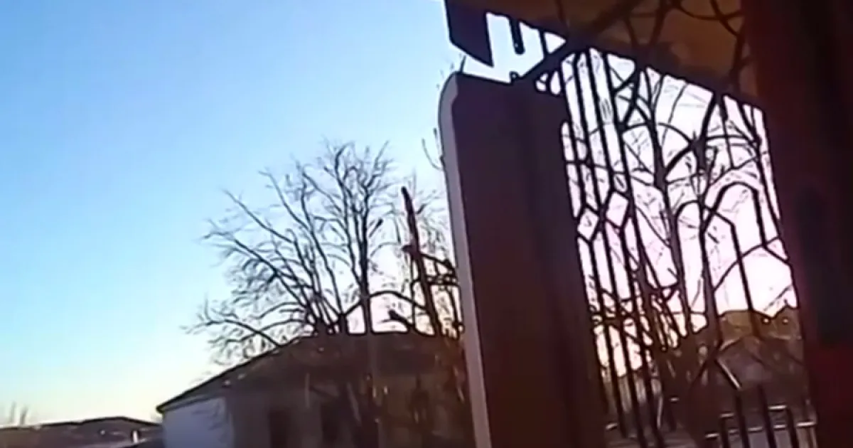 Скрін з відео