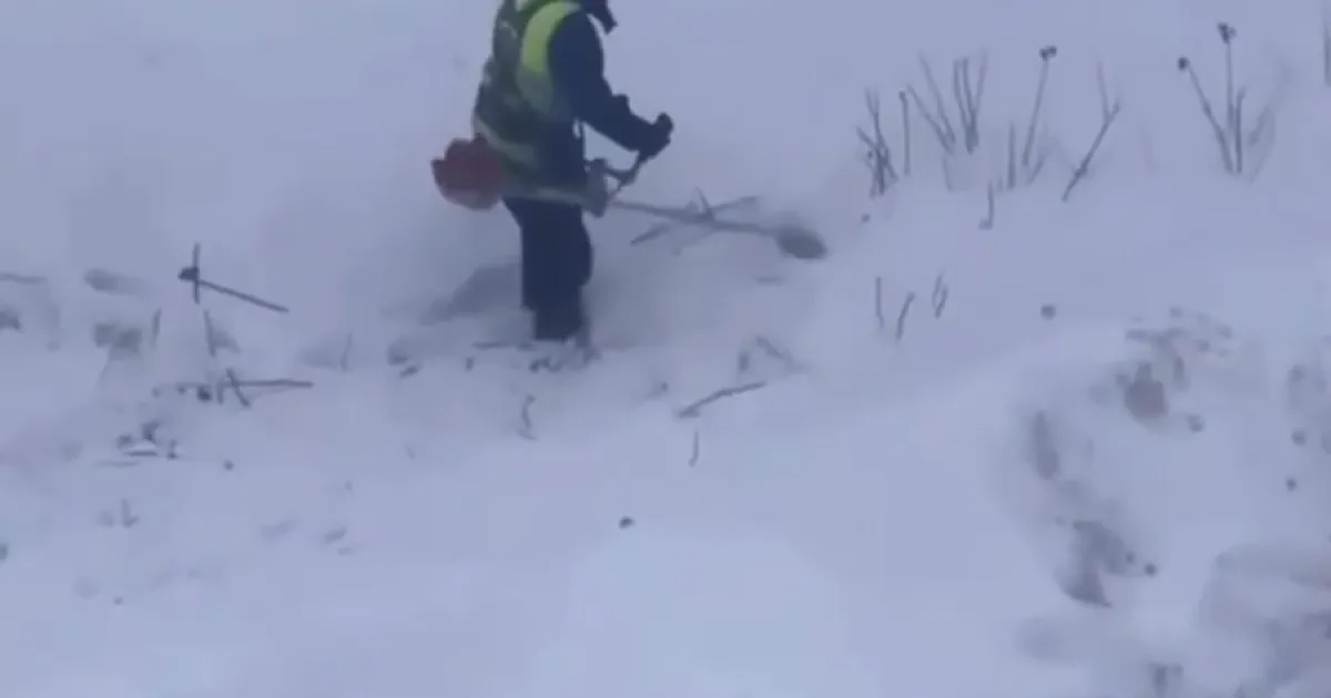 Снегокос