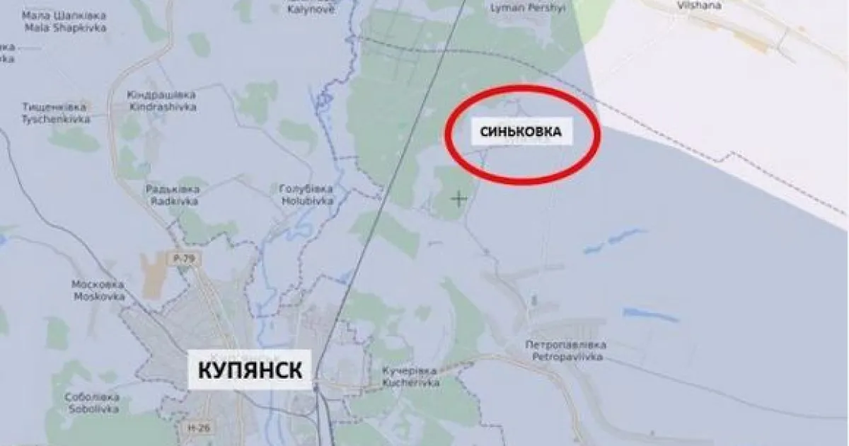 Синьковка