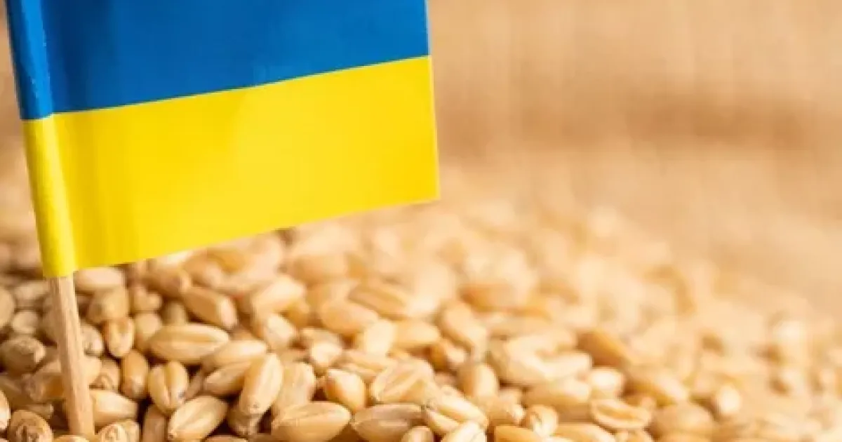 Зерно