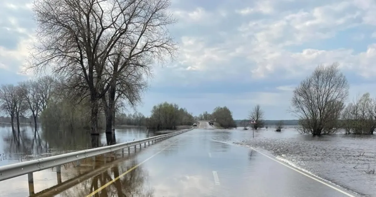 Підтоплення