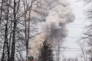 Бавовна в РФ