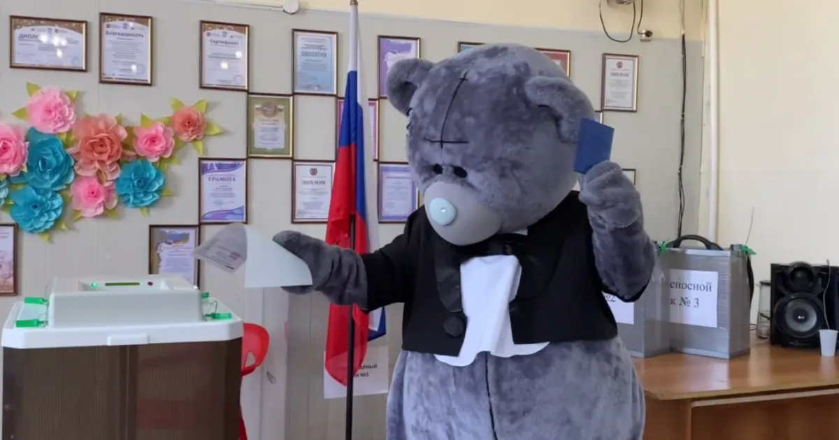 Медведь на выборах