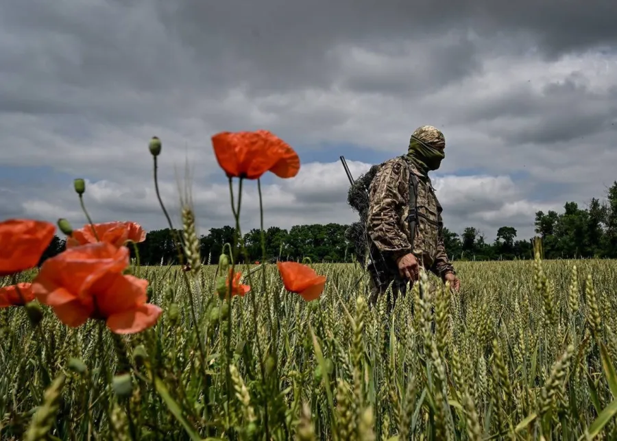 Війна в Україні