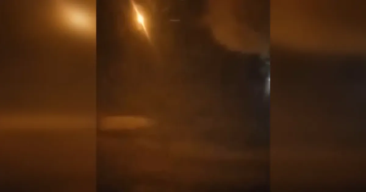 Бавовна в РФ