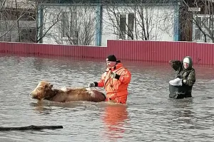 Алтайський край