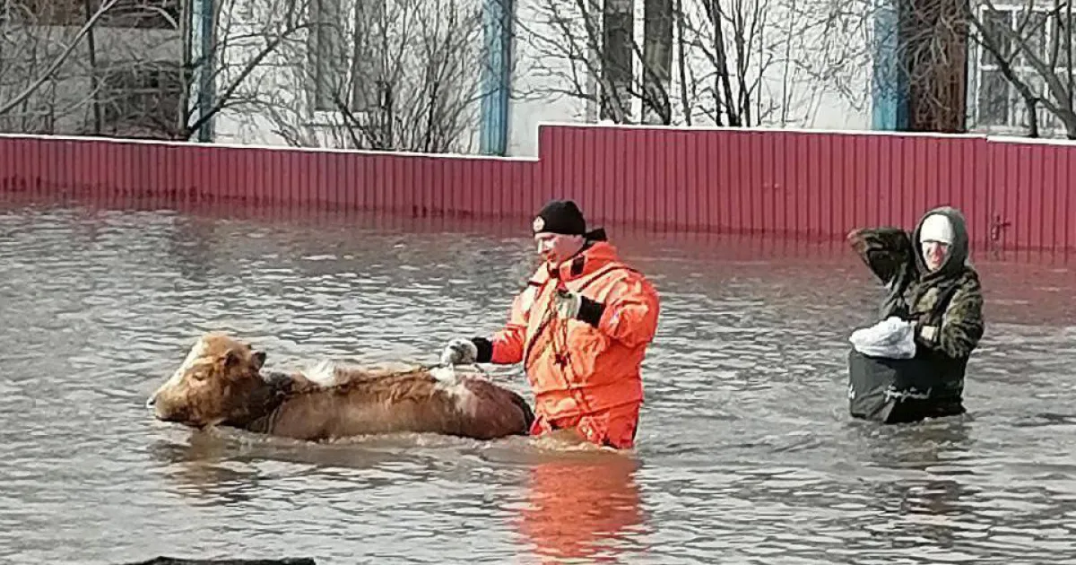 Алтайський край