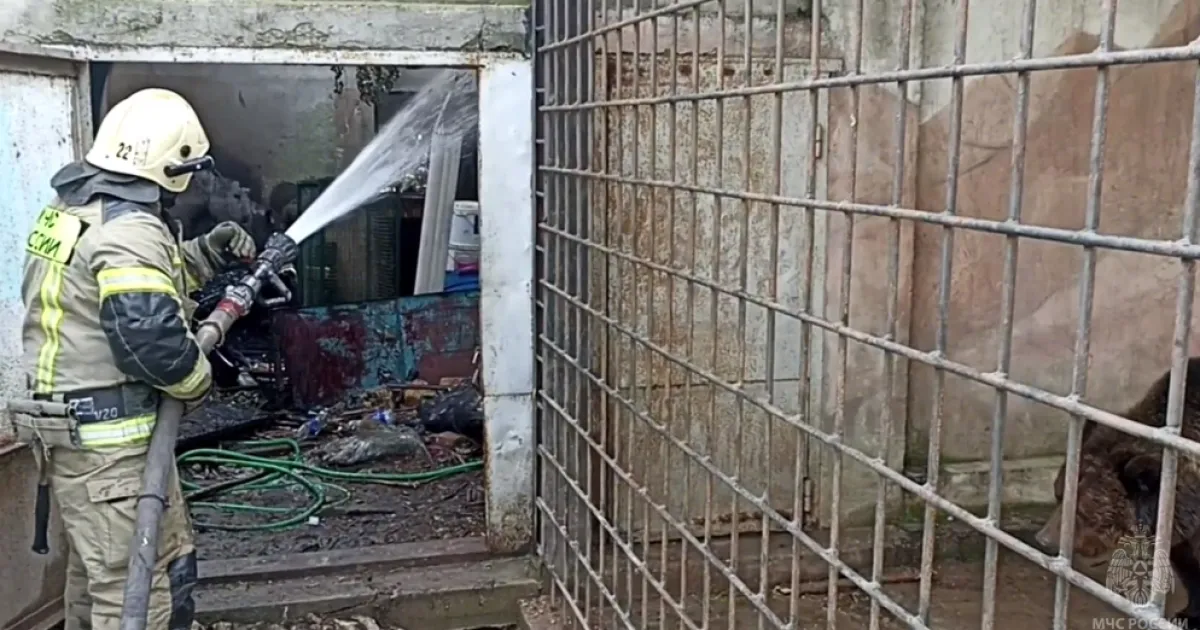 Пожар в зоопарке