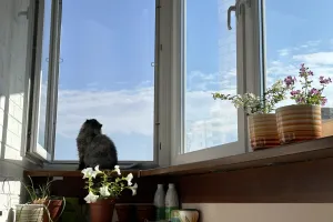 Погода