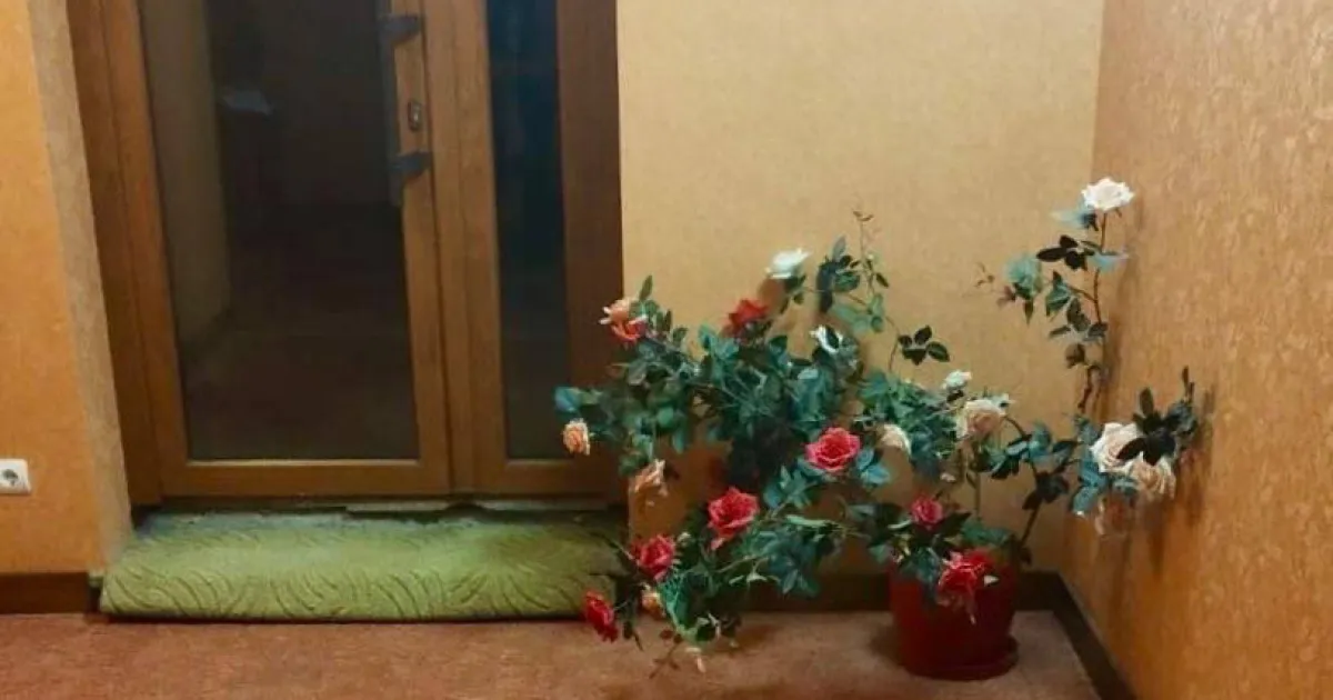 Квіти