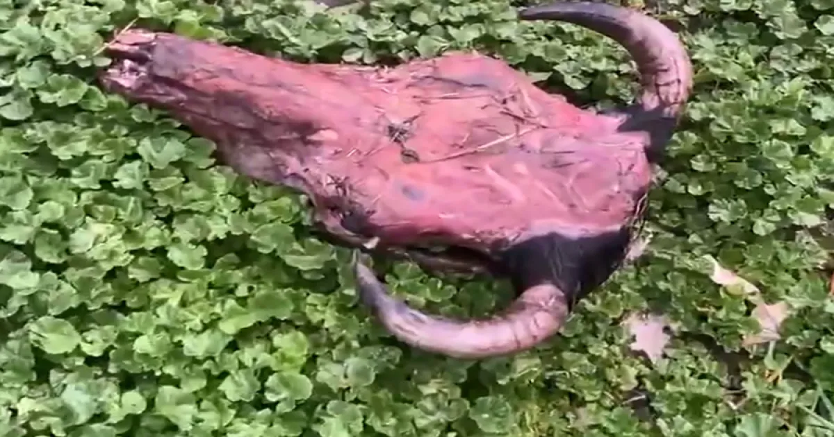 На улице