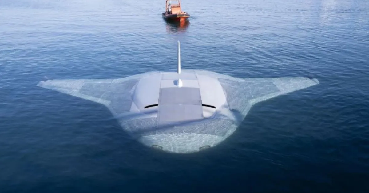 Manta Ray