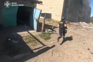 На Донеччині