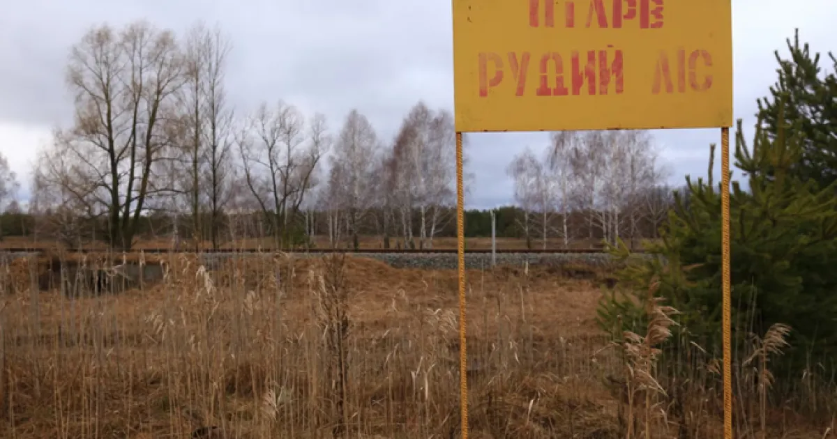 Рыжий лес