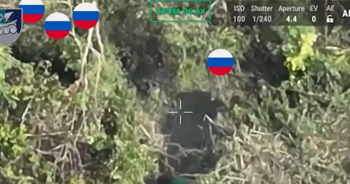 поле боя