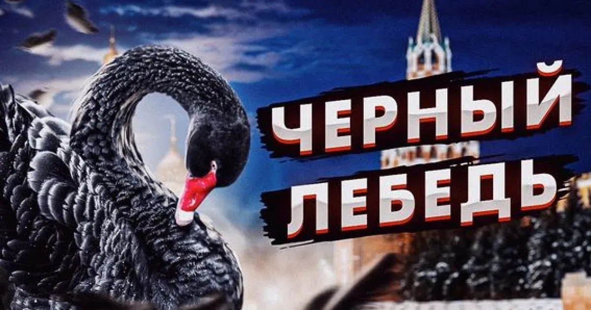 черный лебедь
