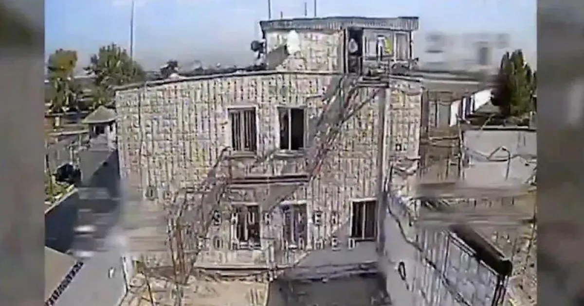Колония