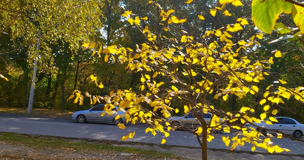 Осень