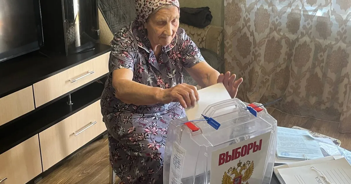 Вибори