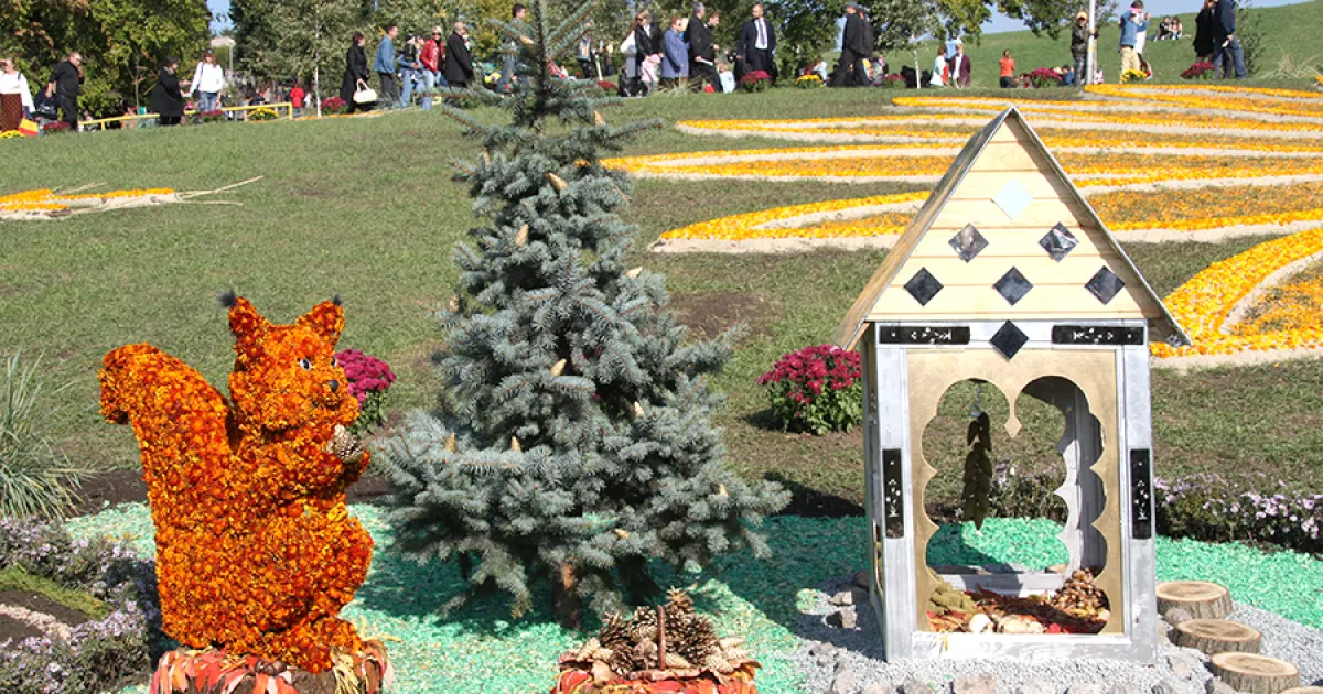 Погода