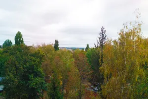 Погода