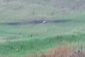 уламки
