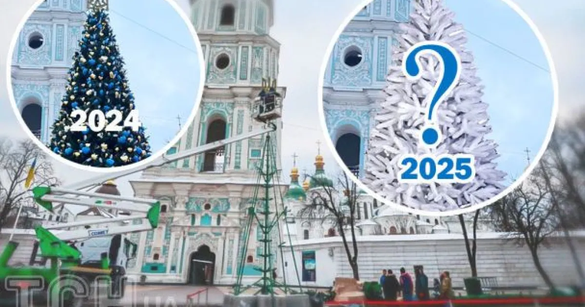 Ялинка 2024-2025