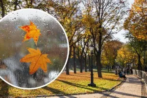 погода