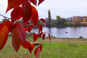 Погода