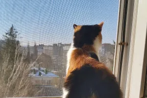 Погода