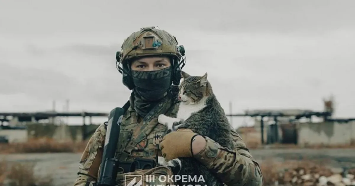Третья штурмовая бригада