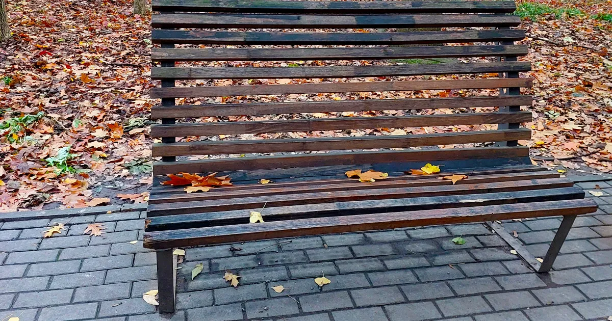 Погода