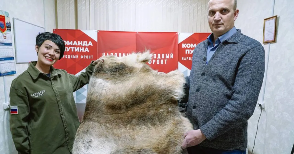 Шкура
