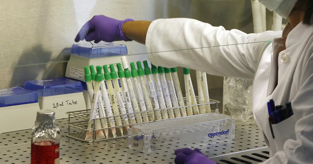 Пташиний грип H5N1