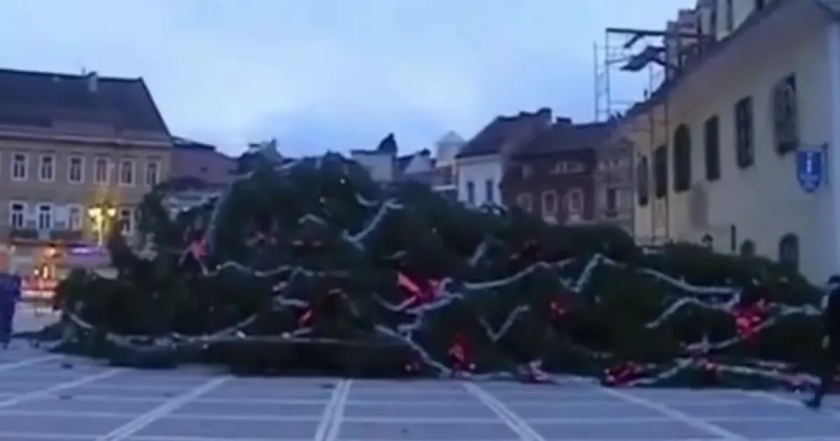 Впала ялинка