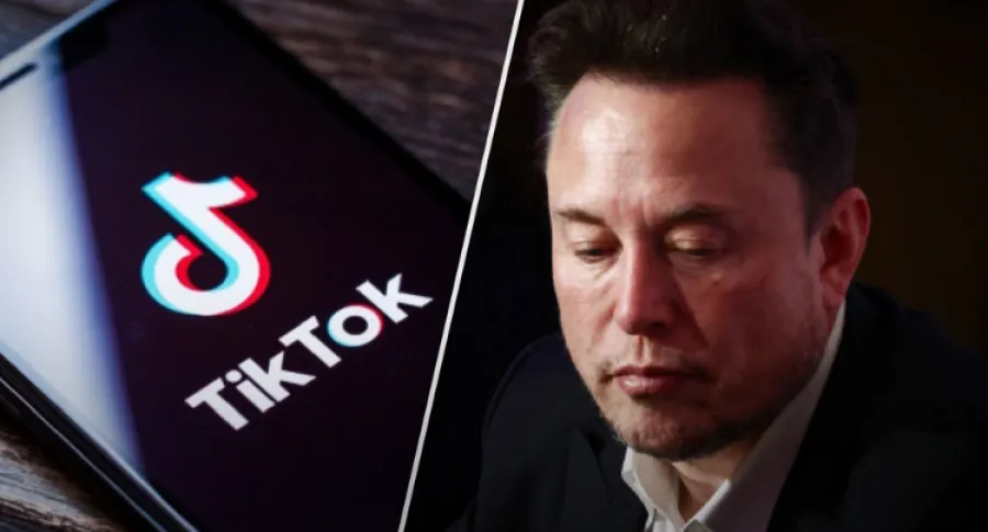 Маск, TikTok