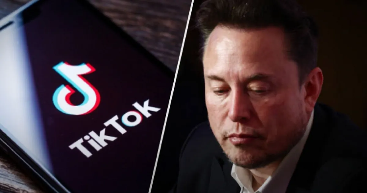 Маск, TikTok