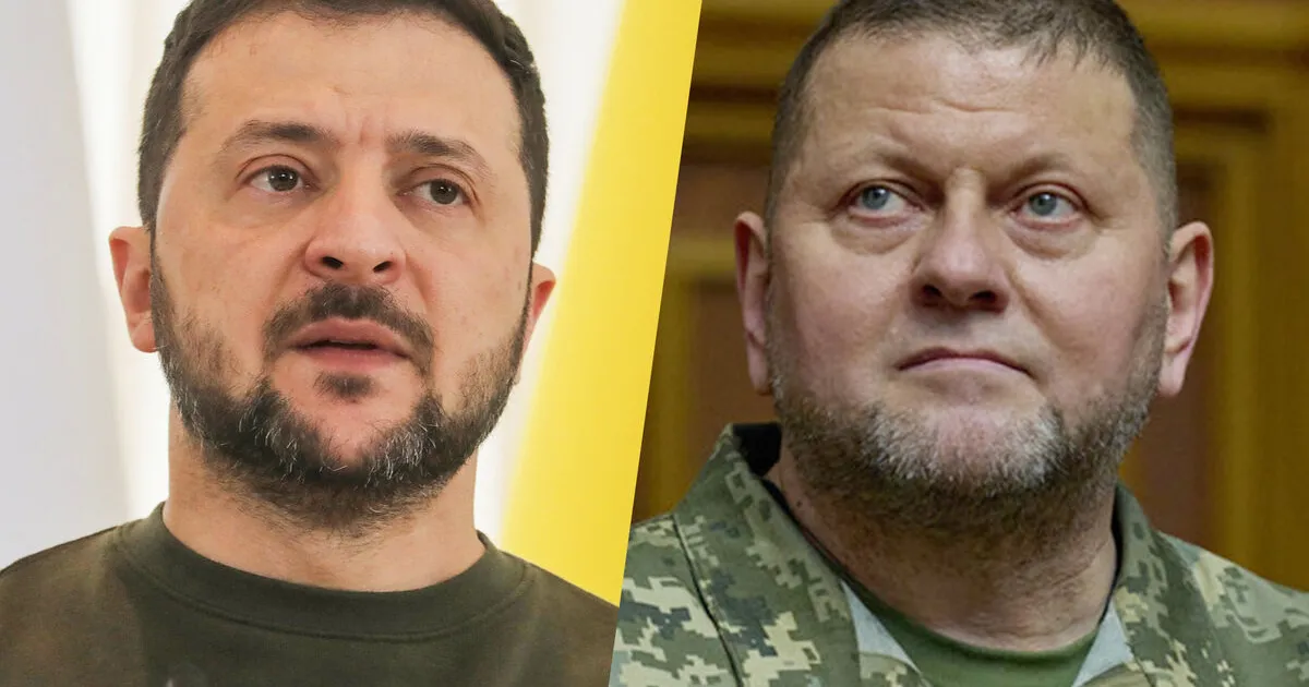 Зеленский и Залужный