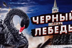 черный лебедь
