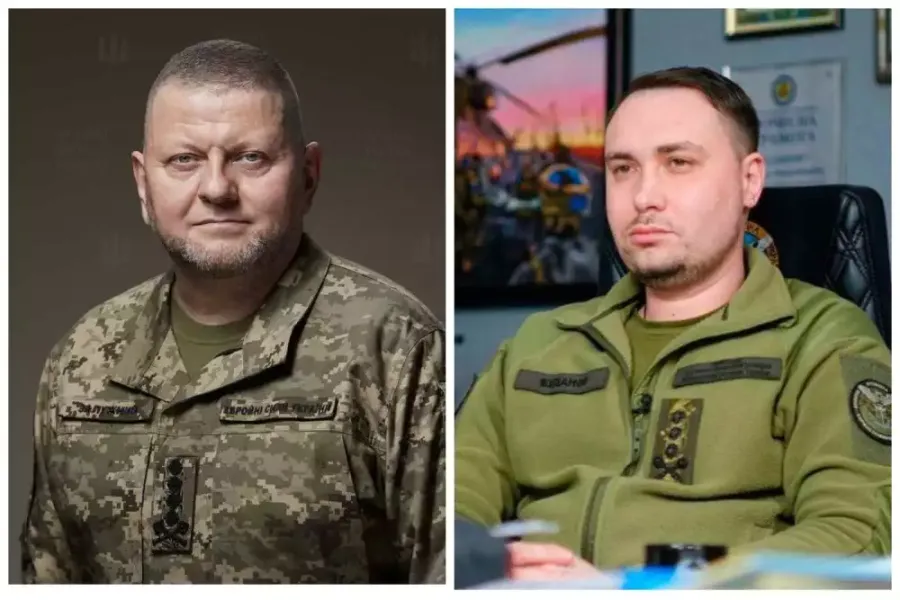 Залужний та Буданов
