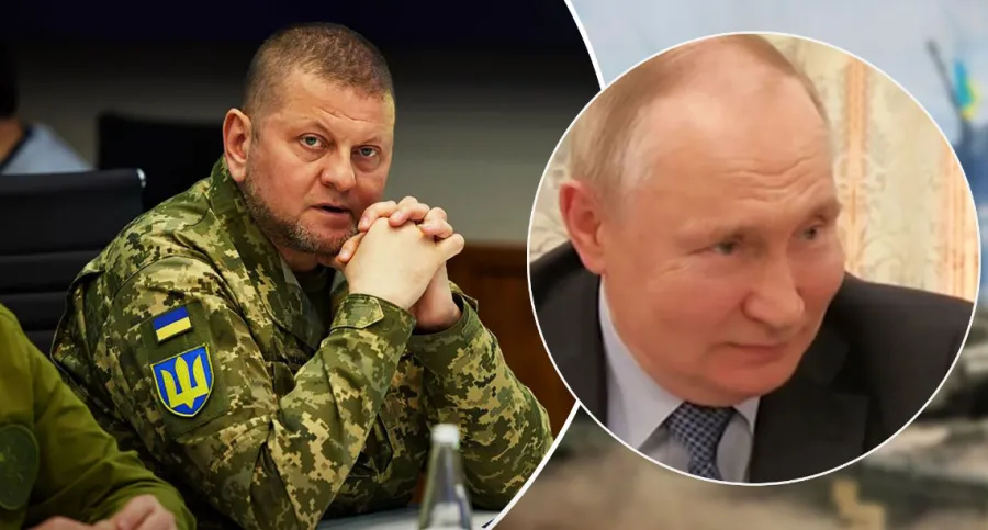 Залужный, Путин